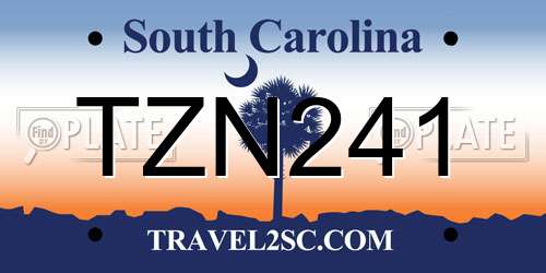 TZN241 South Carolina License Plate