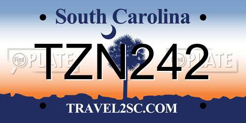 TZN242 South Carolina License Plate