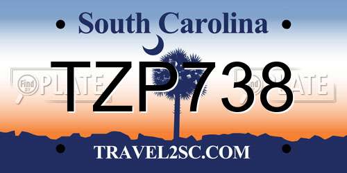 TZP738 South Carolina License Plate