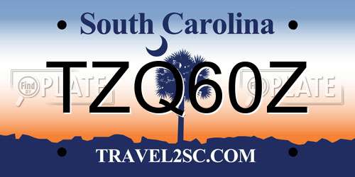 TZQ60Z South Carolina License Plate