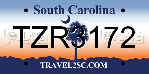 TZR3172 South Carolina License Plate