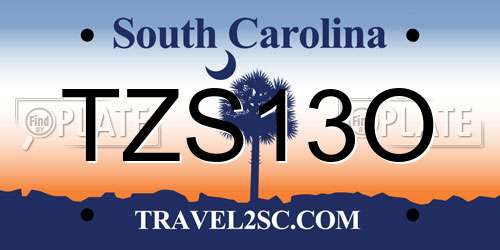 TZS13O South Carolina License Plate
