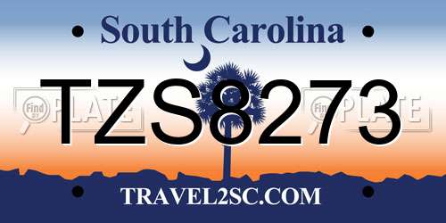 TZS8273 South Carolina License Plate