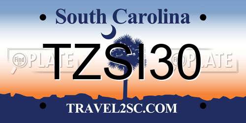 TZSI30 South Carolina License Plate