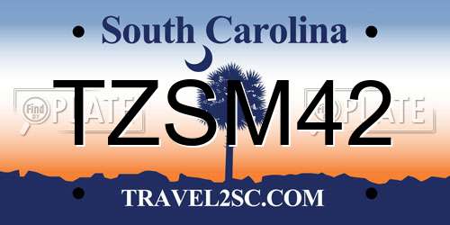 TZSM42 South Carolina License Plate