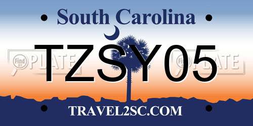 TZSY05 South Carolina License Plate