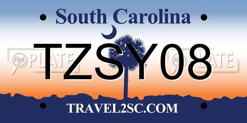 TZSY08 South Carolina License Plate