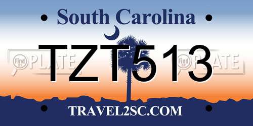 TZT513 South Carolina License Plate