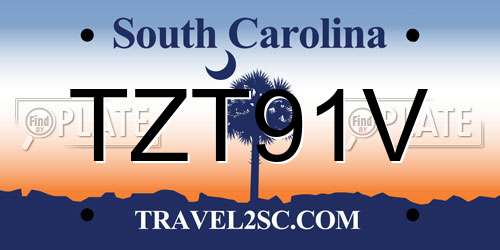 TZT91V South Carolina License Plate