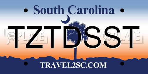 TZTDSST South Carolina License Plate