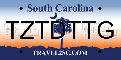 TZTDTTG South Carolina License Plate