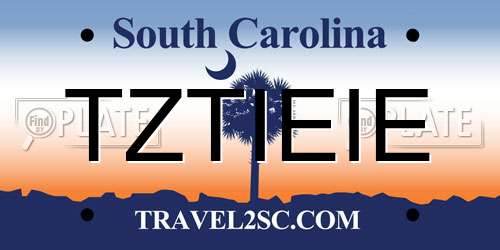 TZTIEIE South Carolina License Plate