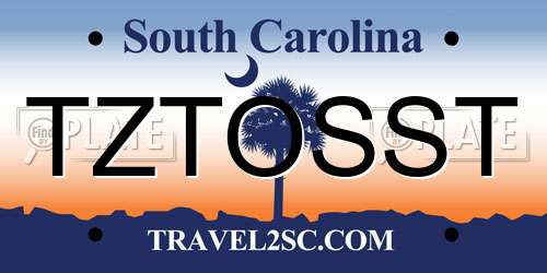 TZTOSST South Carolina License Plate