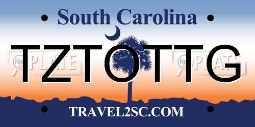 TZTOTTG South Carolina License Plate