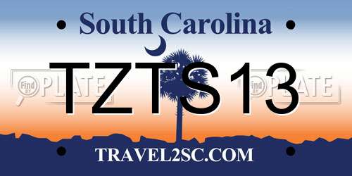 TZTS13 South Carolina License Plate