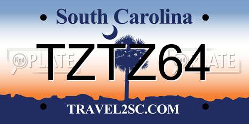 TZTZ64 South Carolina License Plate