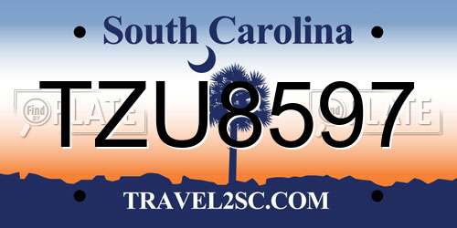 TZU8597 South Carolina License Plate