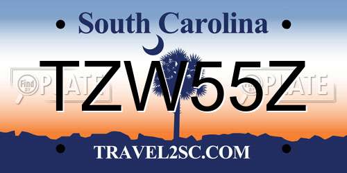 TZW55Z South Carolina License Plate
