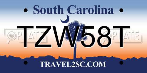 TZW58T South Carolina License Plate
