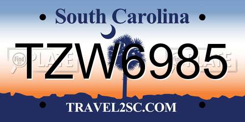 TZW6985 South Carolina License Plate