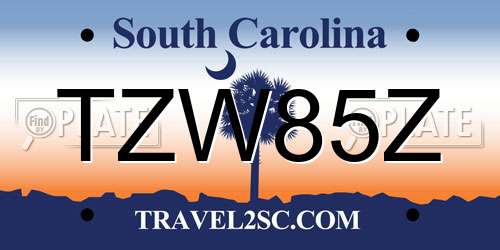 TZW85Z South Carolina License Plate