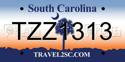TZZ1313 South Carolina License Plate