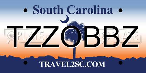 TZZOBBZ South Carolina License Plate