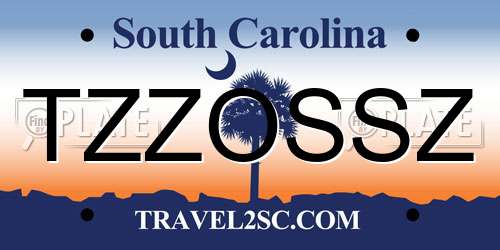 TZZOSSZ South Carolina License Plate