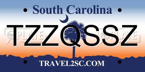 TZZQSSZ South Carolina License Plate