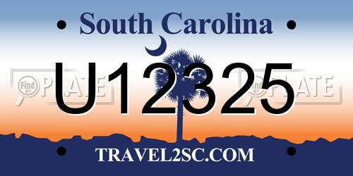 U12325 South Carolina License Plate
