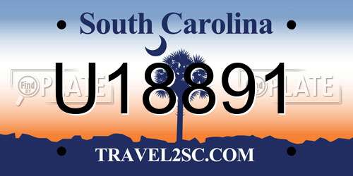 U18891 South Carolina License Plate