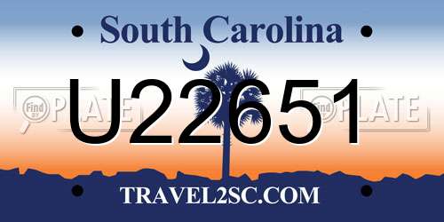 U22651 South Carolina License Plate