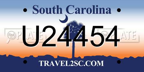 U24454 South Carolina License Plate