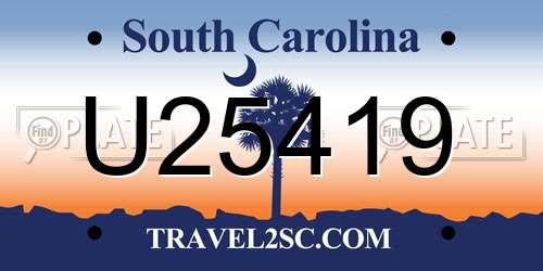 U25419 South Carolina License Plate