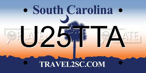 U25TTA South Carolina License Plate