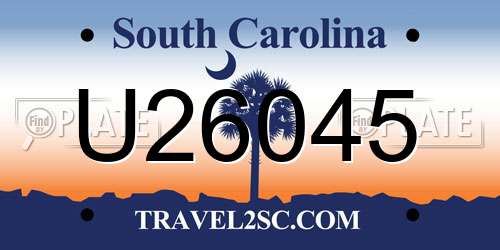 U26045 South Carolina License Plate