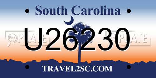 U26230 South Carolina License Plate
