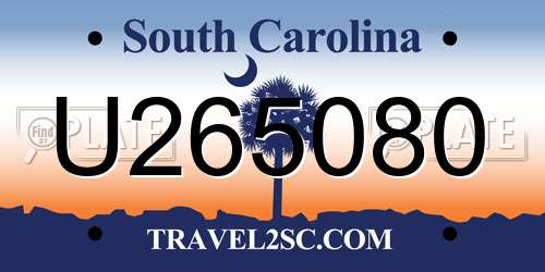 U265080 South Carolina License Plate