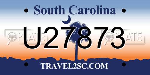 U27873 South Carolina License Plate