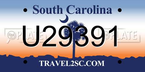 U29391 South Carolina License Plate