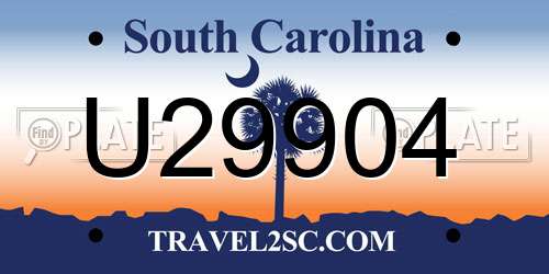 U29904 South Carolina License Plate