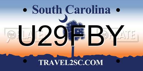 U29FBY South Carolina License Plate