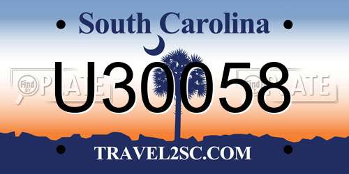 U30058 South Carolina License Plate
