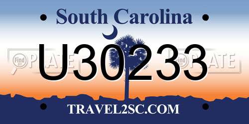 U30233 South Carolina License Plate