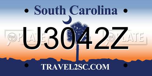 U3042Z South Carolina License Plate