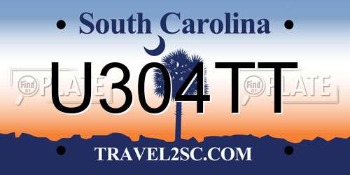 U304TT South Carolina License Plate