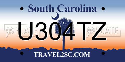 U304TZ South Carolina License Plate