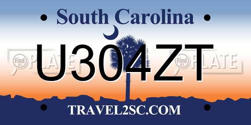 U304ZT South Carolina License Plate