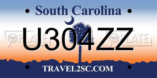 U304ZZ South Carolina License Plate