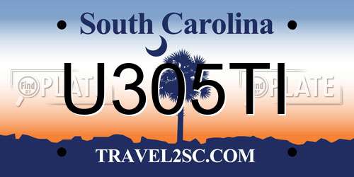 U305TI South Carolina License Plate